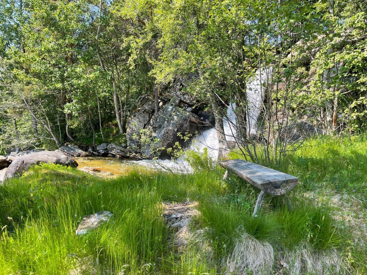 Gamlehuset Villa Reed Dış mekan fotoğraf